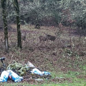 Meet your Posher, Braden